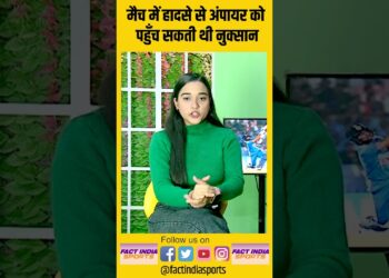 1702280995_maxresdefault-8245550-9743177-jpg