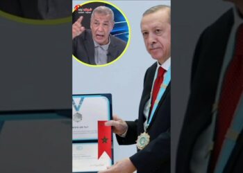 1702454167_maxresdefault-6750974-9387879-jpg