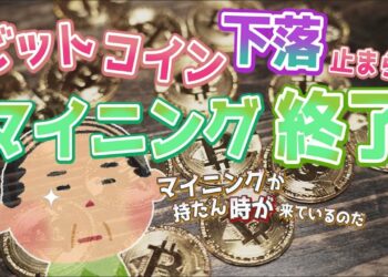 1702510148_maxresdefault-7021320-2282076-jpg