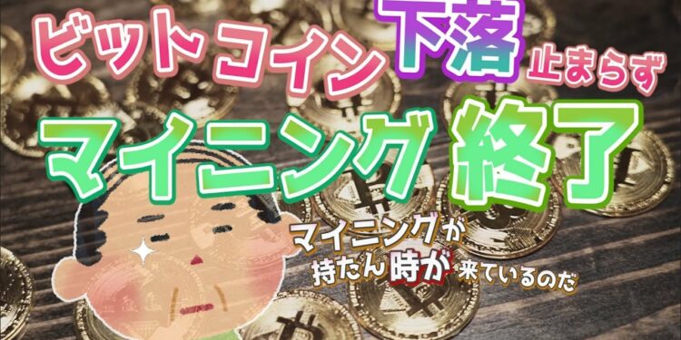 1702510148_maxresdefault-7021320-2282076-jpg