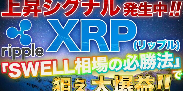 1702741005_maxresdefault-6283434-6116995-jpg