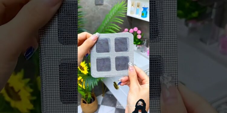 1702789256_maxresdefault-9112541-2075271-jpg