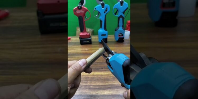 1702886636_maxresdefault-3191395-4732734-jpg