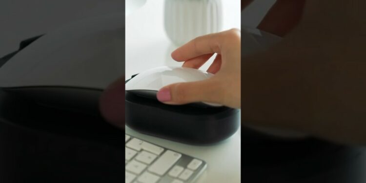 1703178791_maxresdefault-2482193-4058474-jpg