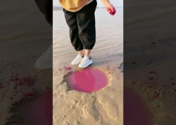 1703341084_maxresdefault-6115971-3337296-jpg