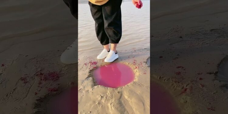 1703341084_maxresdefault-6115971-3337296-jpg