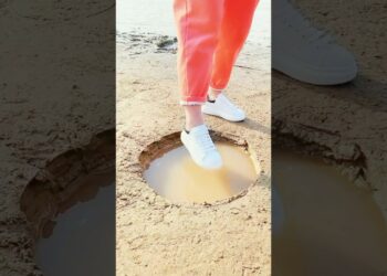 1703438465_maxresdefault-8078560-3517143-jpg