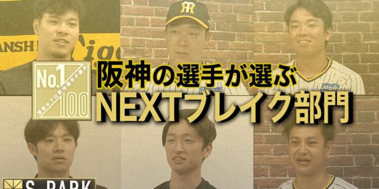 1703464250_maxresdefault-4296752-3997098-jpg