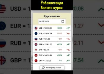 1703502655_maxresdefault-2630621-2275424-jpg