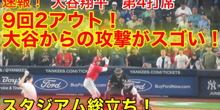 1703521990_maxresdefault-3144901-4232811-jpg