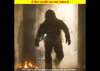 1703535837_maxresdefault-4324324-3186611-jpg