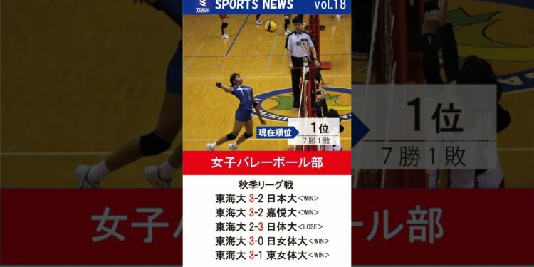 1703550836_maxresdefault-1496110-3524296-jpg