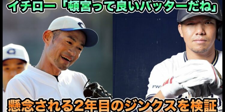 1703608557_maxresdefault-5209419-5780716-jpg