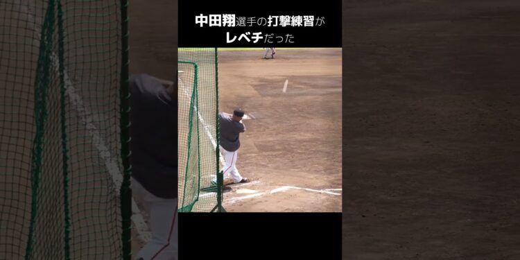 1703723956_maxresdefault-2648311-2435123-jpg