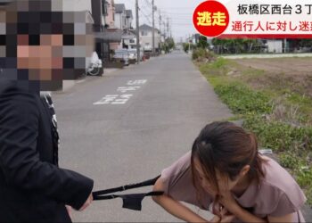 1703868357_maxresdefault-6088583-9194848-jpg