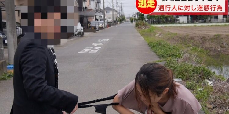 1703868357_maxresdefault-6088583-9194848-jpg