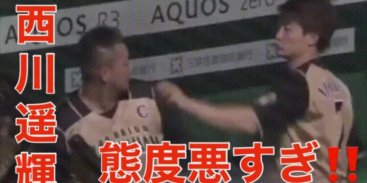 1703897224_maxresdefault-8986364-6753630-jpg