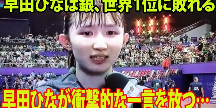 1703983799_maxresdefault-7333019-6420703-jpg