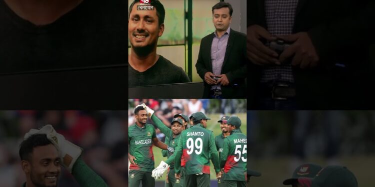 1704214706_maxresdefault-8190475-5806328-jpg