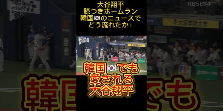 1705196071_maxresdefault-6797263-5571483-jpg