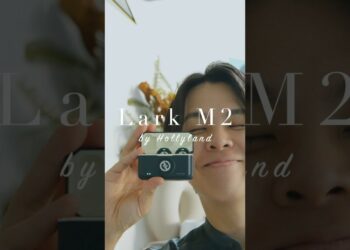 1705907428_maxresdefault-3258523-2909124-jpg