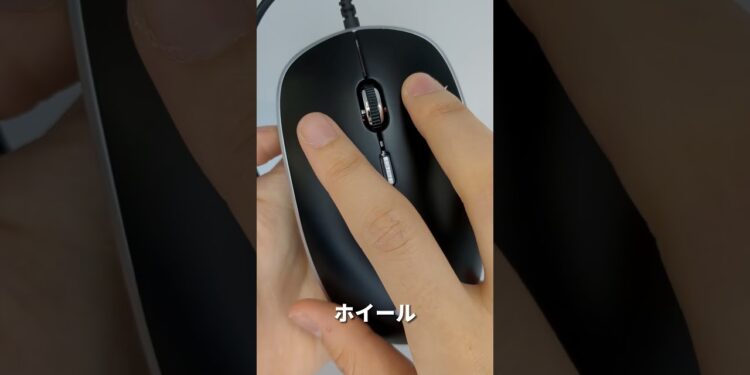 1707141260_maxresdefault-1669925-4040556-jpg