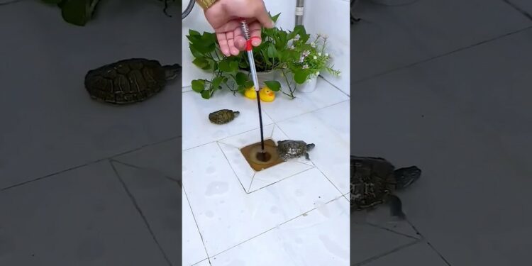 Is this really a useful gadget for you? #shorts #gadgets