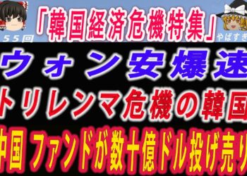 【ゆっくり解説】ウォン安が止まらない！物価・景気・金融安定がこじれるトリレンマ危機の韓国…経済算法が複雑になったではなく手遅れー世界中のファンドが中国株を数十億ドル投げ売りして撤退！