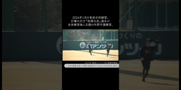 【巨人】外野守備力向上で一気に支配下登録に近づくと思う選手 #shorts #baseball #sports #ジャイアンツ #巨人 #プロ野球