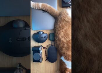 カバンの中身紹介するわw #カバンの中身紹介 #ガジェット #カメラ