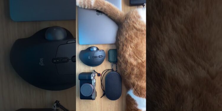 カバンの中身紹介するわw #カバンの中身紹介 #ガジェット #カメラ