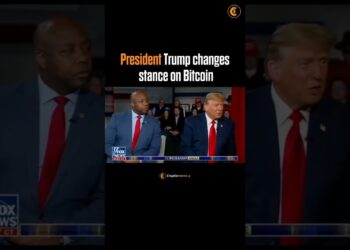President Trump is becoming Bullish on Bitcoin #cryptocurrency #bitcoin #crypto #trump