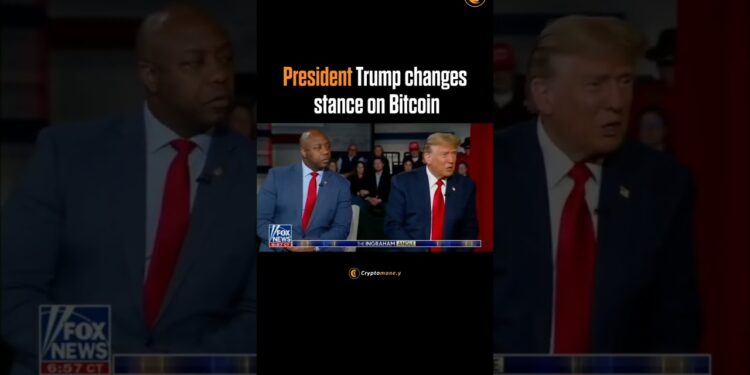 President Trump is becoming Bullish on Bitcoin #cryptocurrency #bitcoin #crypto #trump