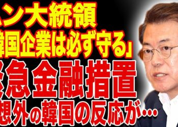 【韓国ニュース】ムン大統領「韓国企業は必ず守る」…緊急金融措置…予想外の韓国の反応が…【韓国制裁】【韓国経済】【韓国反応】