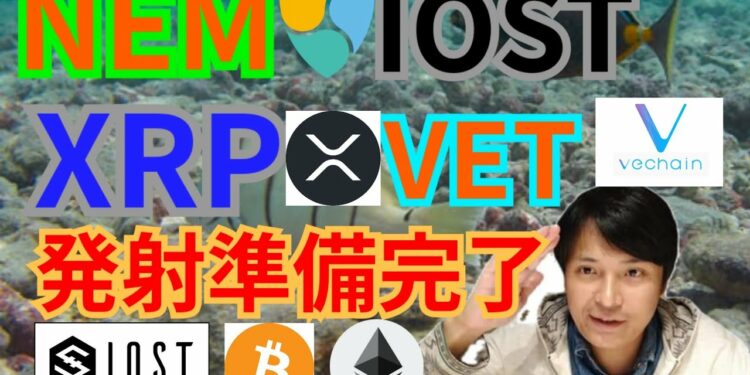 【仮想通貨BTC, ETH, XRP, NEM, IOST, VET】アイオーエス、リップル、ネム、VeChain発射準備完了🚀