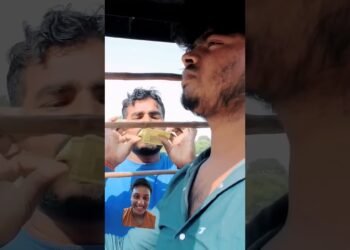 Smart Appliances! New Gadgets, Versatile Utensils, Tool Items #shorts #gadget