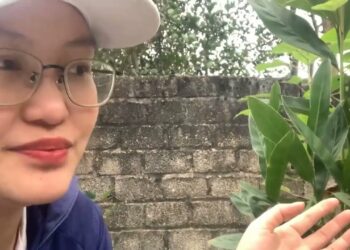 Giới thiệu về cây giềng dùng để nấu kết hợp các món ăn