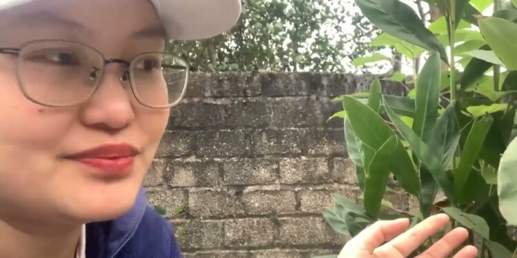 Giới thiệu về cây giềng dùng để nấu kết hợp các món ăn