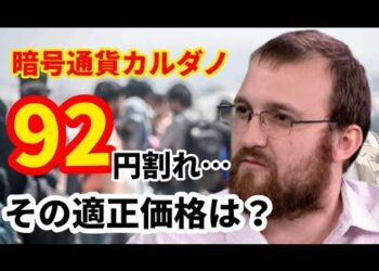 【カルダノ】これでいいのか？暗号通貨ADAの適正価格は・・？