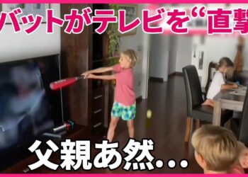 【まさか】バットがテレビを“直撃”兄弟がリビングで野球　父がやってくると…　スペイン