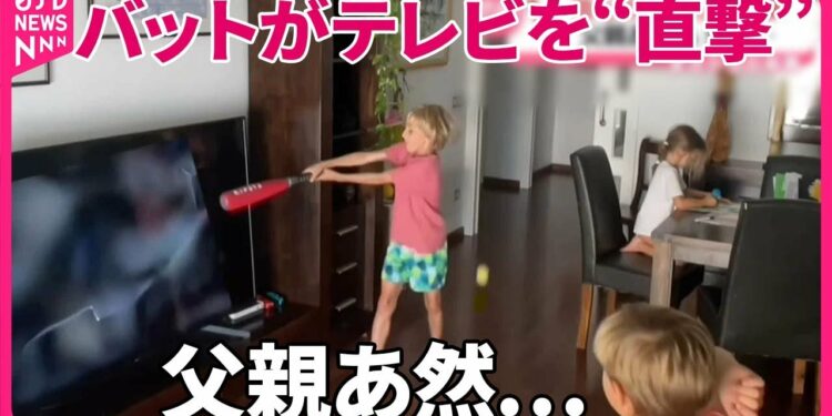 【まさか】バットがテレビを“直撃”兄弟がリビングで野球 父がやってくると… スペイン