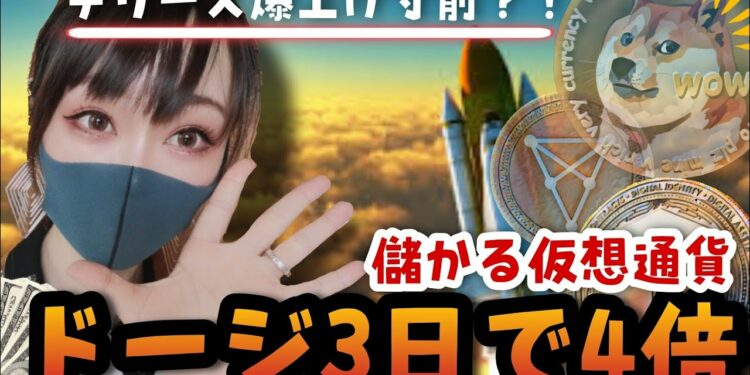 【ビットコイン,XRP,BNB,DOGE,NEO,CAKE,CHZ,AAVE】儲かる仮想通貨〜チリーズ爆上げ寸前!?〜