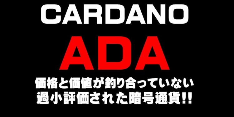 ADA 価格と価値が釣り合っていない 過小評価された暗号通貨!! 仮想通貨(ADA)で億り人を目指す!近未来戦士ヒロミの暗号通貨ライフ