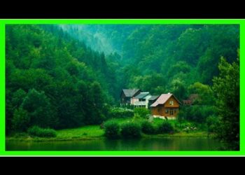 最新ニュース速報 コラム：中国発の金融危機、本当に幻か