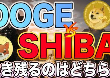 【1年以内に消える】DOGEとSHIBAの衝撃の結末を知りたいですか？【仮想通貨】【ビットコイン】