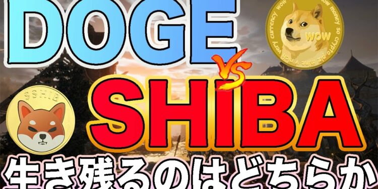 【1年以内に消える】DOGEとSHIBAの衝撃の結末を知りたいですか?【仮想通貨】【ビットコイン】