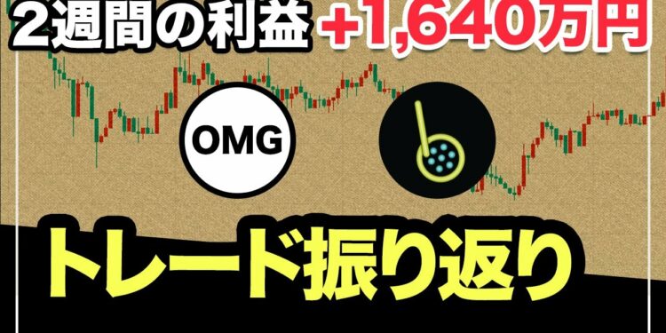 1,640万円稼いだトレードを全解説【OMGエアドロップ】