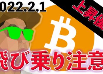 ビットコイン底固いね〜。