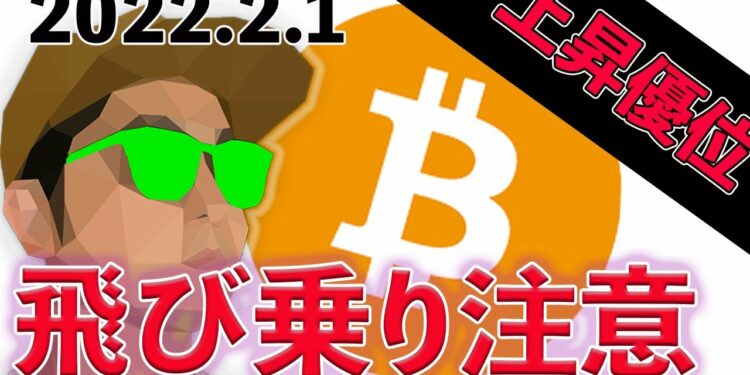 ビットコイン底固いね〜。