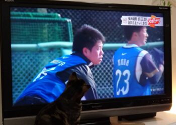 たわし(3)スポーツニュースがお好き